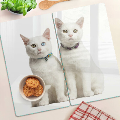 Glasschneidebrett Weiße Katzen mit verschiedenfarbigen Augen