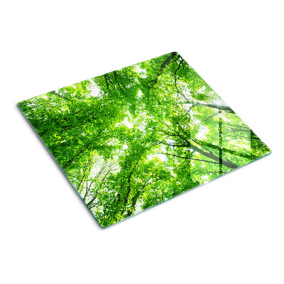 Schneidebrett glas Wälder und grüne Bäume