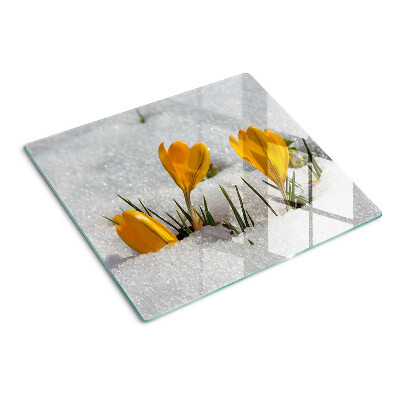 Schneidebrett glas Krokusse im Schnee
