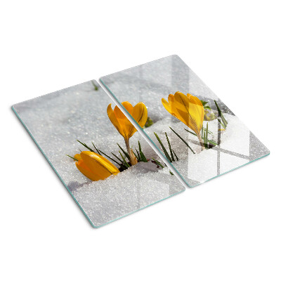 Schneidebrett glas Krokusse im Schnee