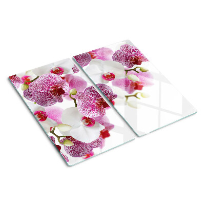 Schneidebrett glas Orchideen vor dem Fenster