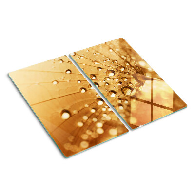 Glasschneidebrett Wassertropfen auf einem Löwenzahn