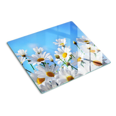 Glasschneidebrett Gänseblümchen auf blauem Hintergrund