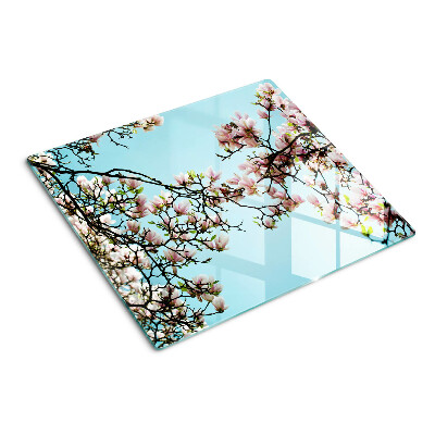 Glasschneidebrett Magnolienblüten auf blauem Hintergrund