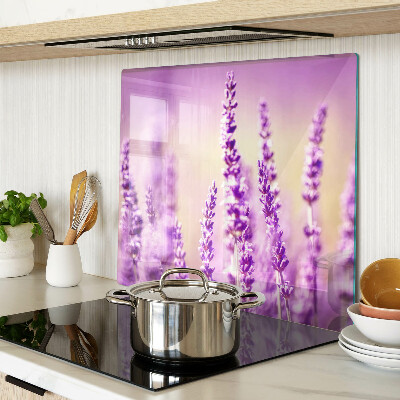 Schneidebrett glas Lavendelblüten auf einem Hintergrund mit Farbverlauf