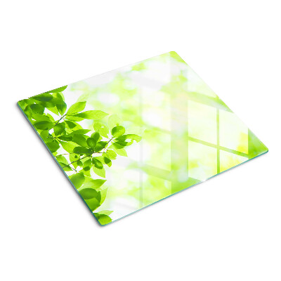 Schneidebrett glas Grüne Blätter im Licht