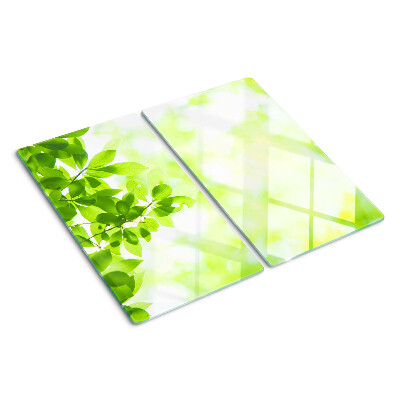 Schneidebrett glas Grüne Blätter im Licht