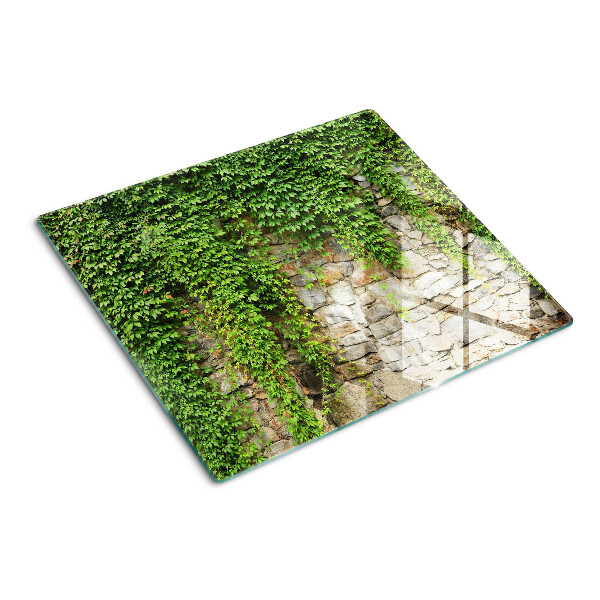 Glasschneidebrett Grüne Wand mit Moos