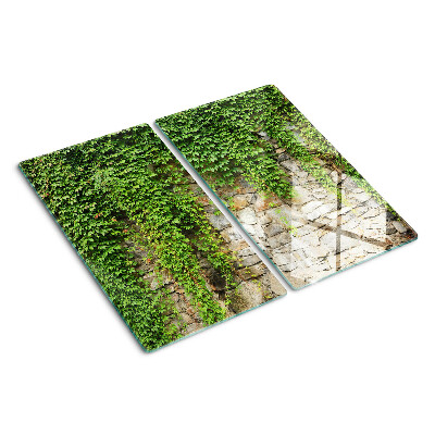 Glasschneidebrett Grüne Wand mit Moos