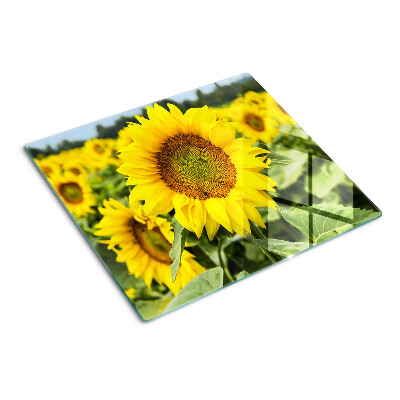 Schneidebrett glas Sonnenblumen vor grünem Hintergrund