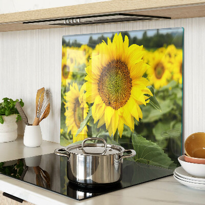 Schneidebrett glas Sonnenblumen vor grünem Hintergrund