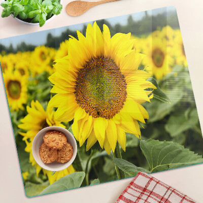 Schneidebrett glas Sonnenblumen vor grünem Hintergrund