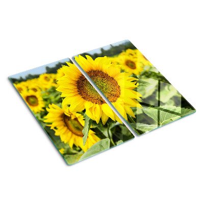Schneidebrett glas Sonnenblumen vor grünem Hintergrund