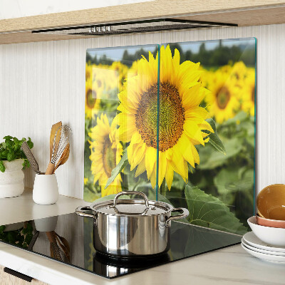Schneidebrett glas Sonnenblumen vor grünem Hintergrund
