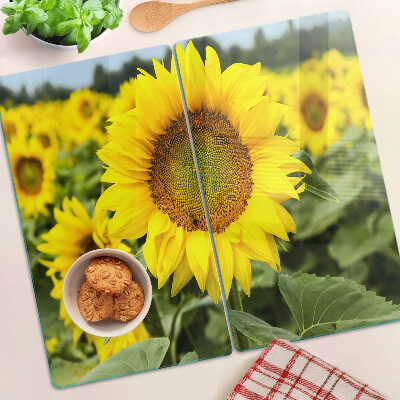 Schneidebrett glas Sonnenblumen vor grünem Hintergrund
