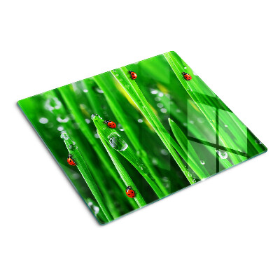 Glasschneidebrett Wassertropfen auf Gras mit Marienkäfern
