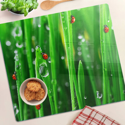 Glasschneidebrett Wassertropfen auf Gras mit Marienkäfern