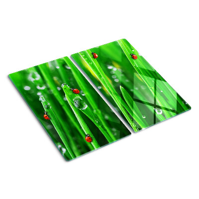 Glasschneidebrett Wassertropfen auf Gras mit Marienkäfern