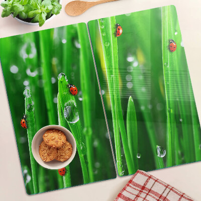 Glasschneidebrett Wassertropfen auf Gras mit Marienkäfern