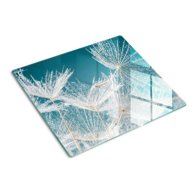 Schneidebrett glas Löwenzahn auf blauem Hintergrund