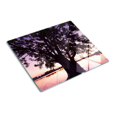 Schneidebrett glas Baum bei Sonnenuntergang