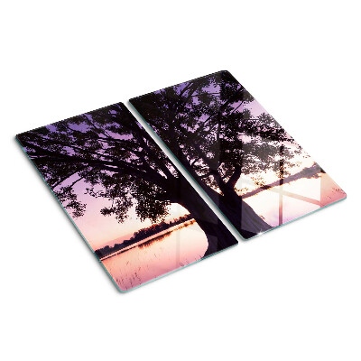 Schneidebrett glas Baum bei Sonnenuntergang
