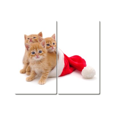 Glas Ceranfeldabdeckung Spritzschutz Katzen-Weihnachtsweihnachtsmann