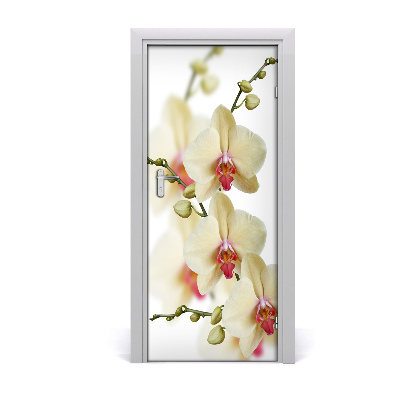 Selbstklebender aufkleber an der tür Orchidee