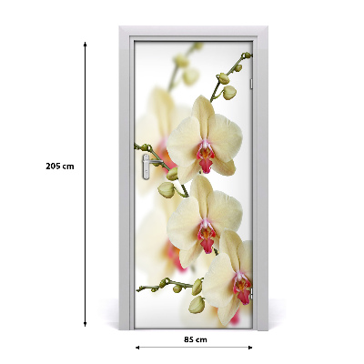 Selbstklebender aufkleber an der tür Orchidee
