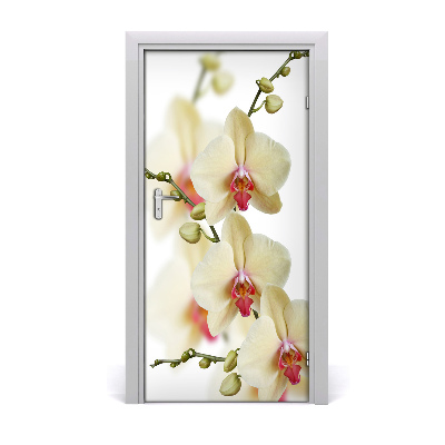 Selbstklebender aufkleber an der tür Orchidee