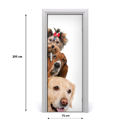 Selbstklebender aufkleber an der tür Hunde und katzen