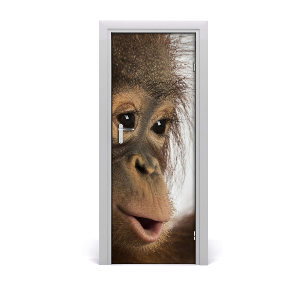 Selbstklebender aufkleber an der tür Junger orang-utan