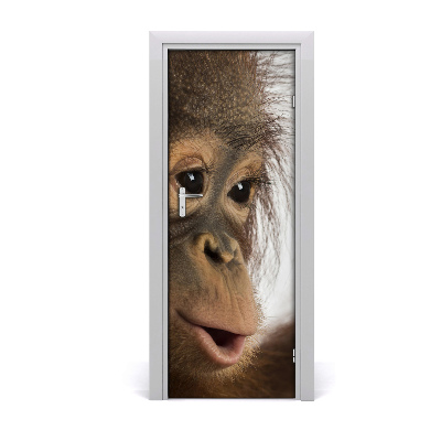 Selbstklebender aufkleber an der tür Junger orang-utan
