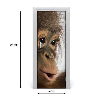 Selbstklebender aufkleber an der tür Junger orang-utan