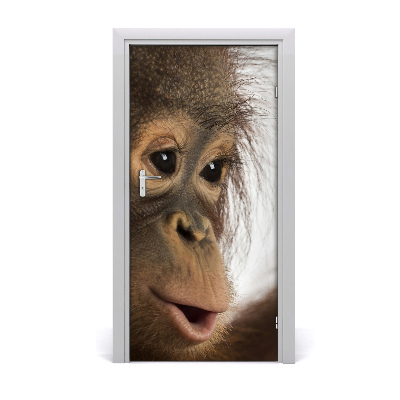 Selbstklebender aufkleber an der tür Junger orang-utan