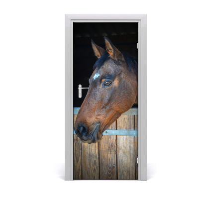 Selbstklebendes wandbild an der wand Pferdekopf