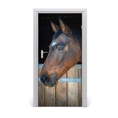 Selbstklebendes wandbild an der wand Pferdekopf