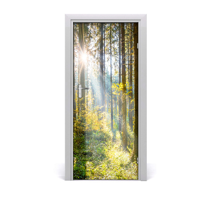 Selbstklebendes wandbild an der wand Sun im wald