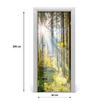 Selbstklebendes wandbild an der wand Sun im wald