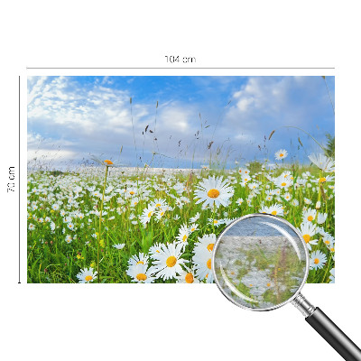 Wandtapete mit Motiv einer Sommerwiese