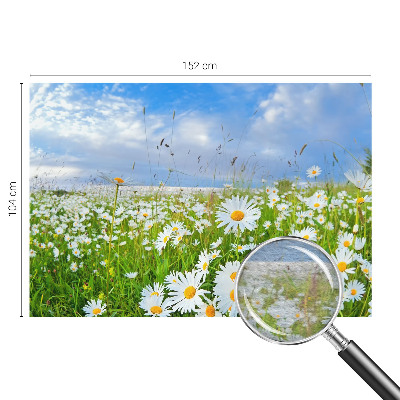 Wandtapete mit Motiv einer Sommerwiese
