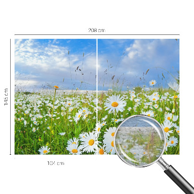 Wandtapete mit Motiv einer Sommerwiese