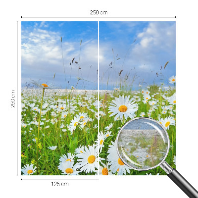 Wandtapete mit Motiv einer Sommerwiese