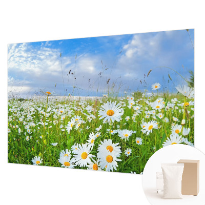 Wandtapete mit Motiv einer Sommerwiese