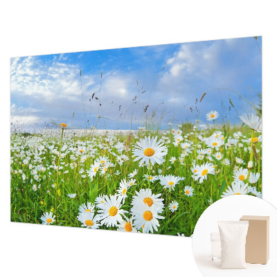 Wandtapete mit Motiv einer Sommerwiese