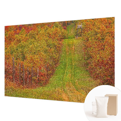 Fototapete fürs Kinderzimmer mit herbstlichen Farben