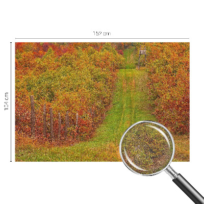 Fototapete fürs Kinderzimmer mit herbstlichen Farben