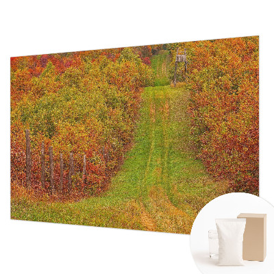 Fototapete fürs Kinderzimmer mit herbstlichen Farben