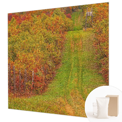 Fototapete fürs Kinderzimmer mit herbstlichen Farben