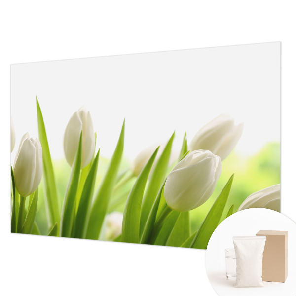 Fototapete fürs Kinderzimmer mit Motiv weißer Tulpen